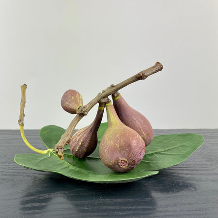 Ceramic Figs and Leaf