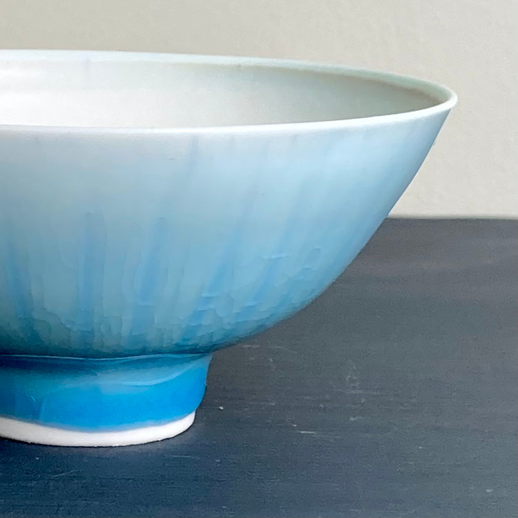 Porcelain Bowl