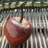 Ceramic Red Apple SOLD