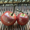 Ceramic Red Apple SOLD