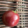 Ceramic Red Apple SOLD