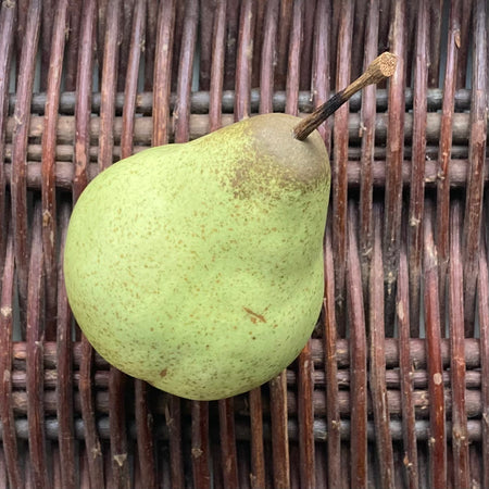 Ceramic Pear