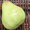 Ceramic Pear