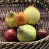 Ceramic Plum