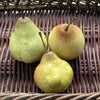 Ceramic Pear