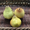 Ceramic Pear