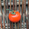 Ceramic Tomato