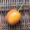 Ceramic Plum