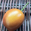 Ceramic Plum