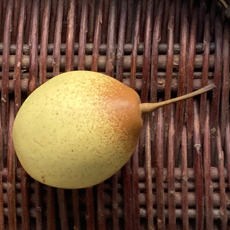 Ceramic Pear